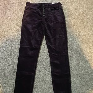 Brand new American eagle velvet jeans